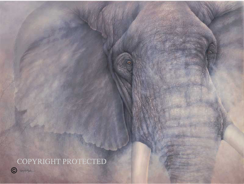 "An Invincible Tide" Bull Elephant